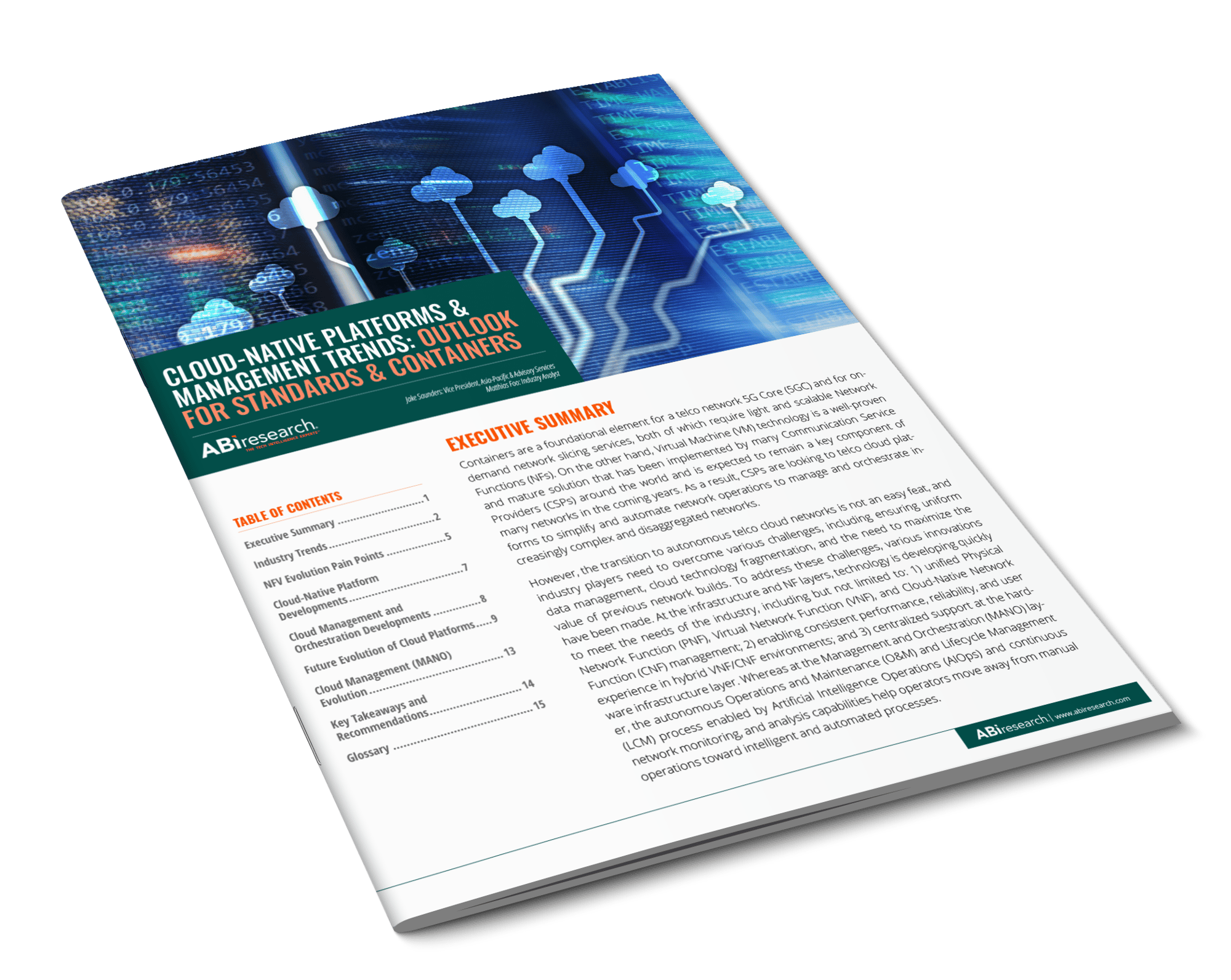 Cloud-Native Platforms Cover 3D Large Cloud-Native Platforms Cover 3D Large
