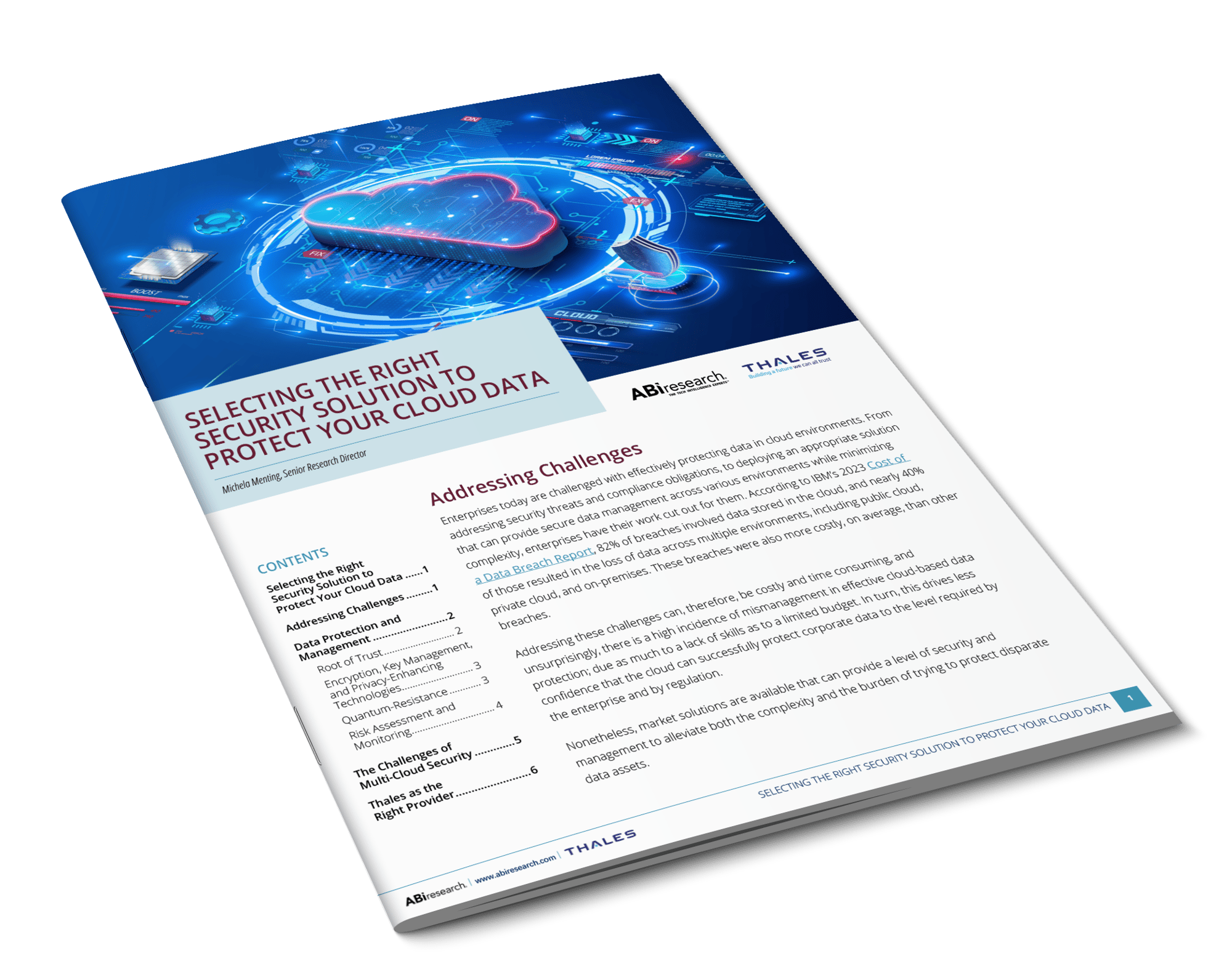 Selecting the Right Security Solution to Protect Your Cloud Data Selecting the Right Security Solution to Protect Your Cloud Data