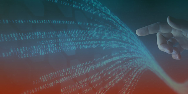 Network API Platforms for Internal Exposure